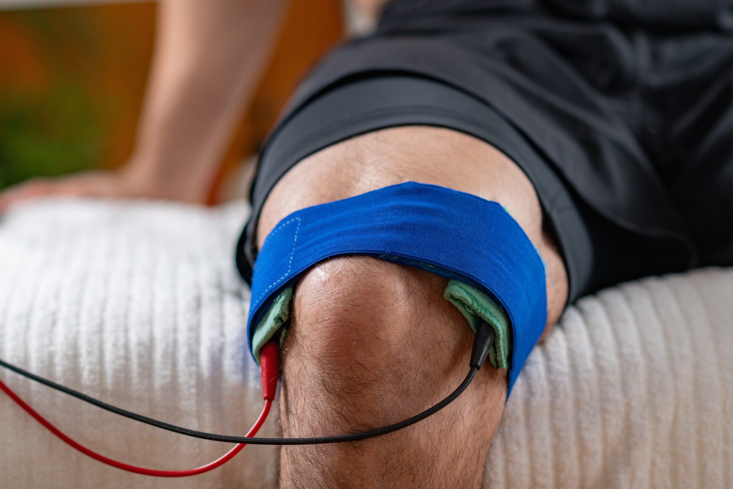 shutterstock_2475583161